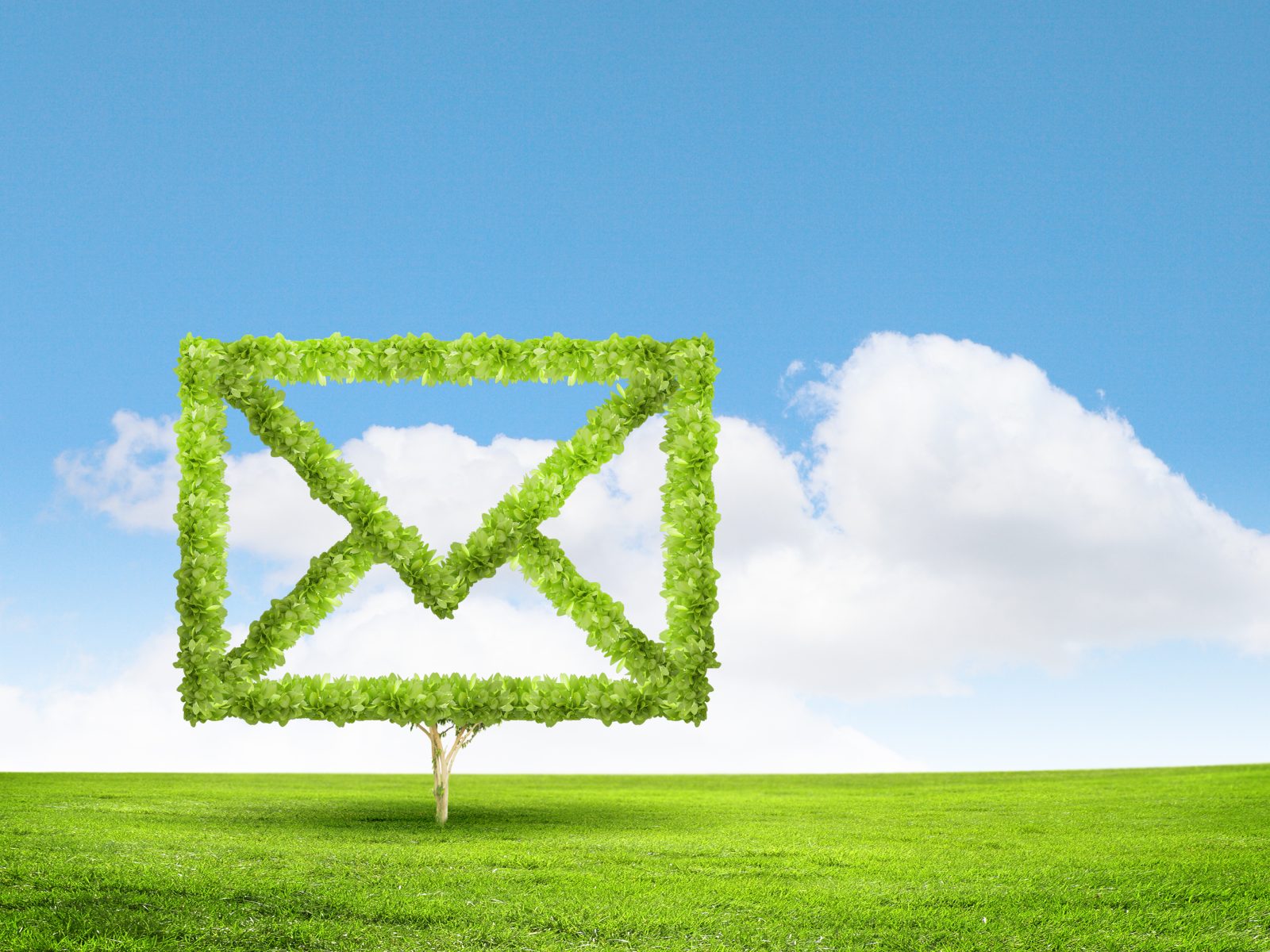Email concept green outline of email in a green field with blue sky