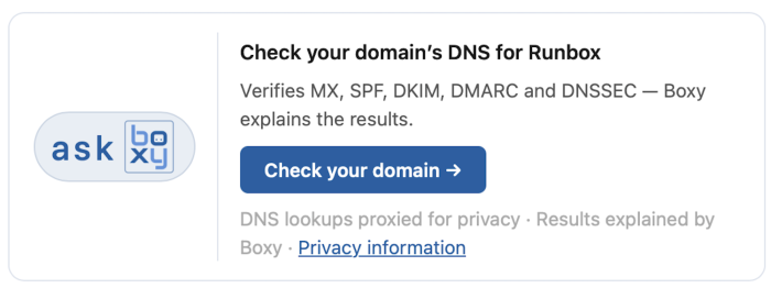 Boxy Domain DNS Checker